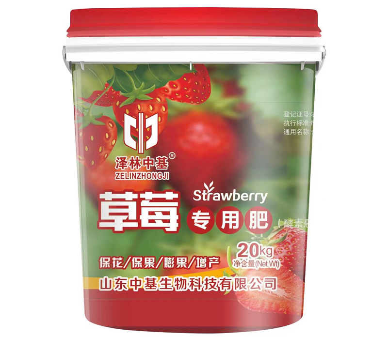 草莓 专用肥